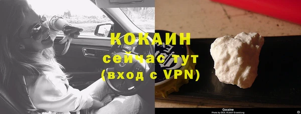 сатива Белая Холуница