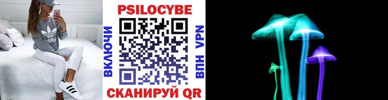 гидра ссылка  купить наркоту  Александровск  Псилоцибиновые грибы GOLDEN TEACHER 